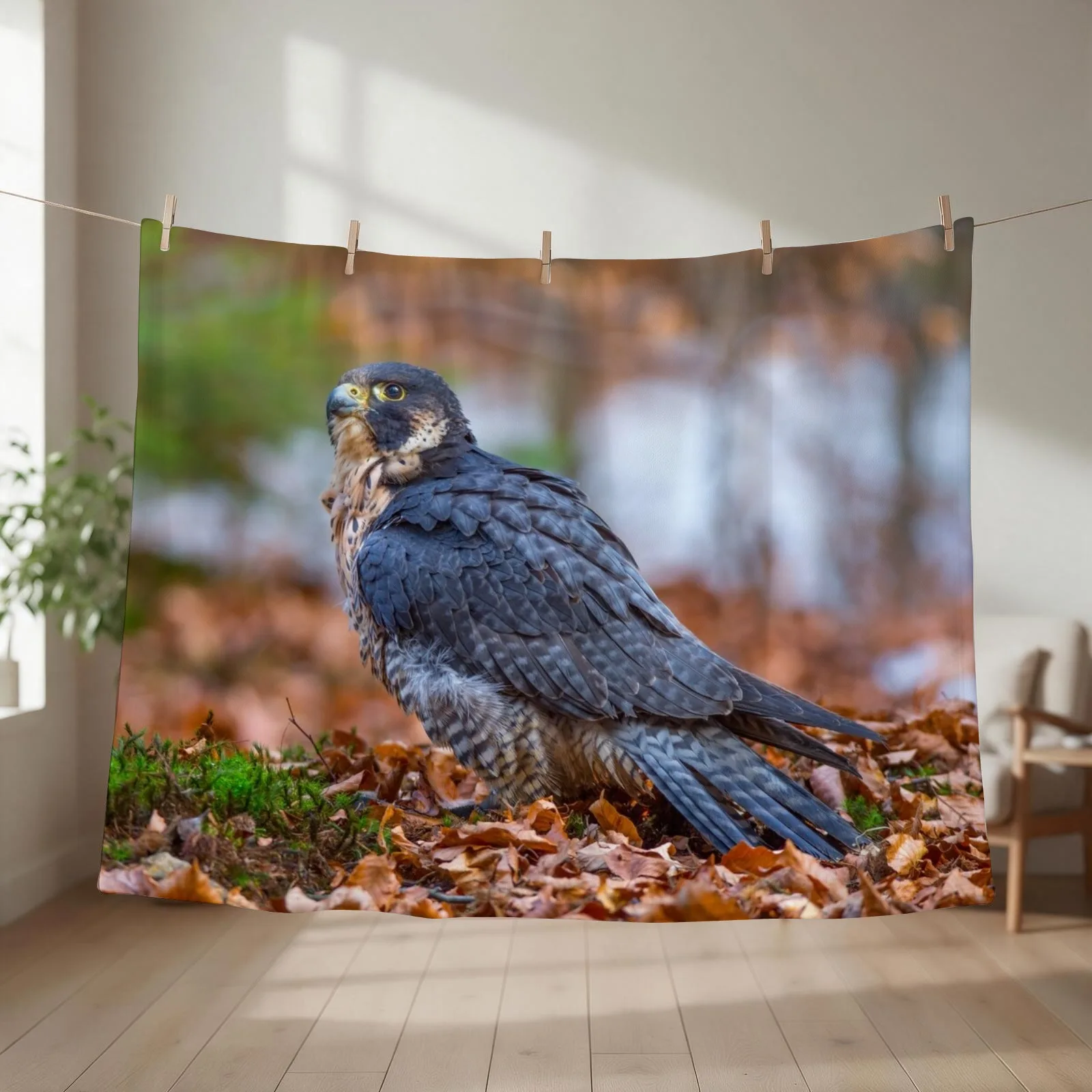 New Peregrine Falcon Throw Blanket for winter wednesday Travel For Sofa Thin Blankets