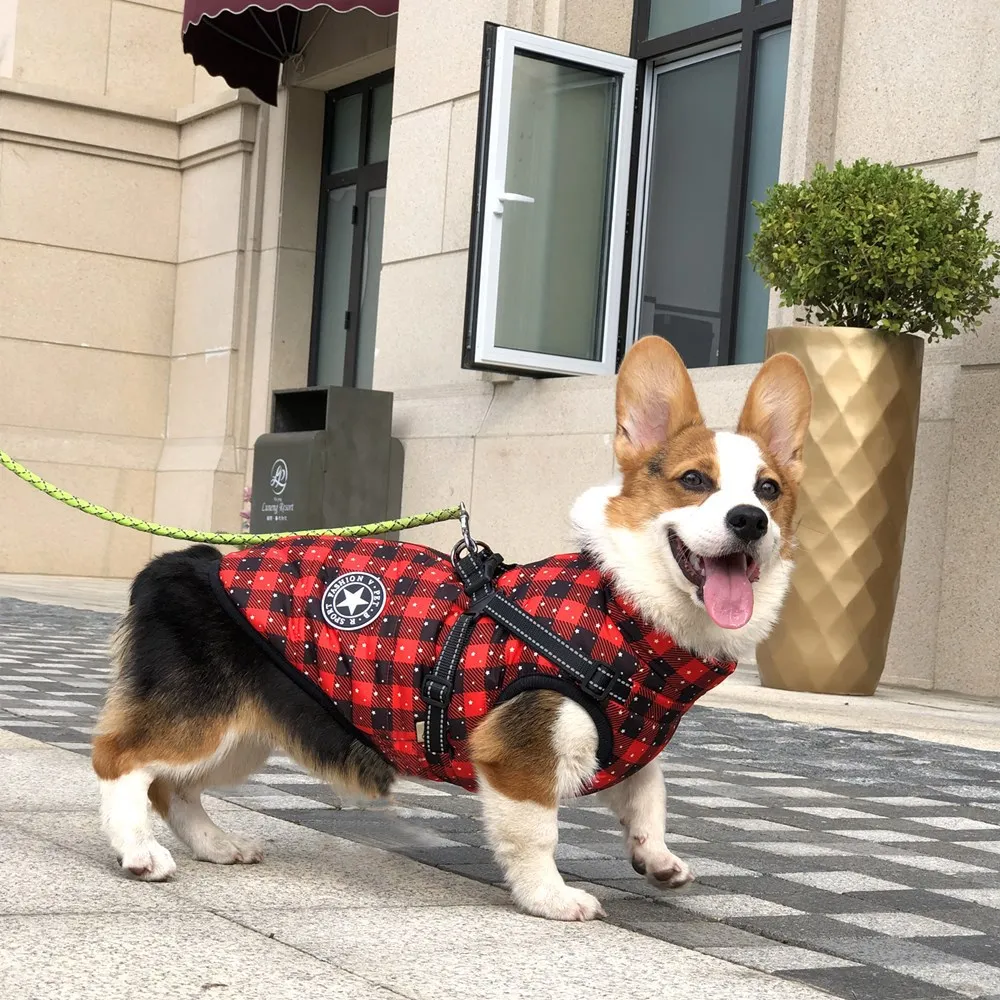 

Pet Dog Clothes Winter Super Warm Snowflake Jacket Thicker Cotton Coat Waterproof For Small Medium Dogs Puppy(Red,2XL)