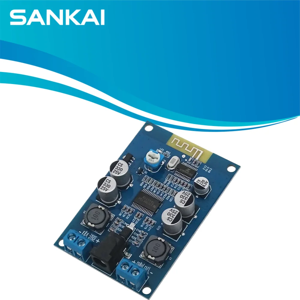 60W Bluetooth 5.0 Mono Amplifier Board, Class D Audio Module DC 8-24V for DIY Speaker