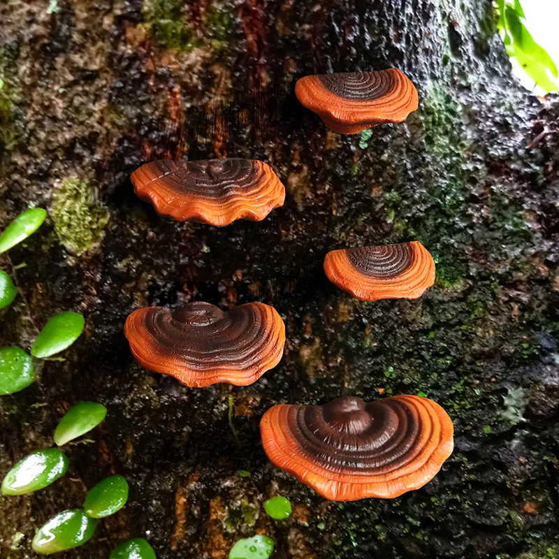 6pcs Simulation Reishi Mushroom Tree Hanging Resin Pendant Ornaments for Home Courtyard Garden Decor