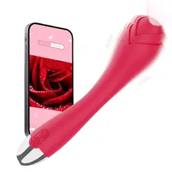 G Spot Dildo Vibrator for Vagina Anal Stimulation with 6 Vibrations, Wireless Visual Vibrator with HD Camera for Women Pleasure