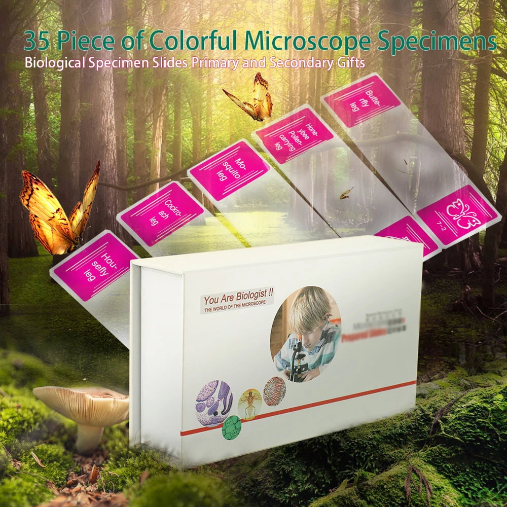 50-1000X مجهر ميكروسكوبيو، 35 قطعة من عينات المجهر الملونة شرائح العينات البيولوجية الهدايا الثانوية الأساسية #4