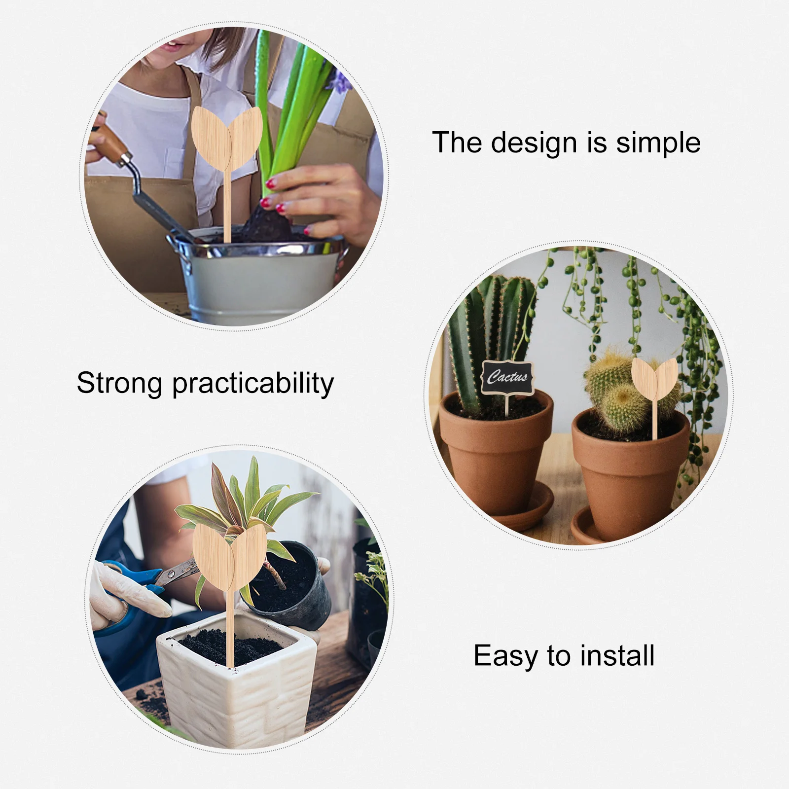 

20 Pcs Wooden Leaf Shape Plant Labels Durable Mini Garden Signs Outdoor Decor Paper Cup Size Easy Use Plant Classification Signs