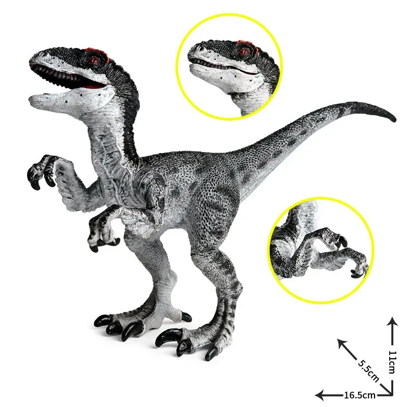 محاكاة فيلوسيرابتور ديلوفوسوروس Cetiosaurus Sinornithosaurus نموذج شخصيات العمل ، Rebachisaurus Computeristus لعب الهدايا