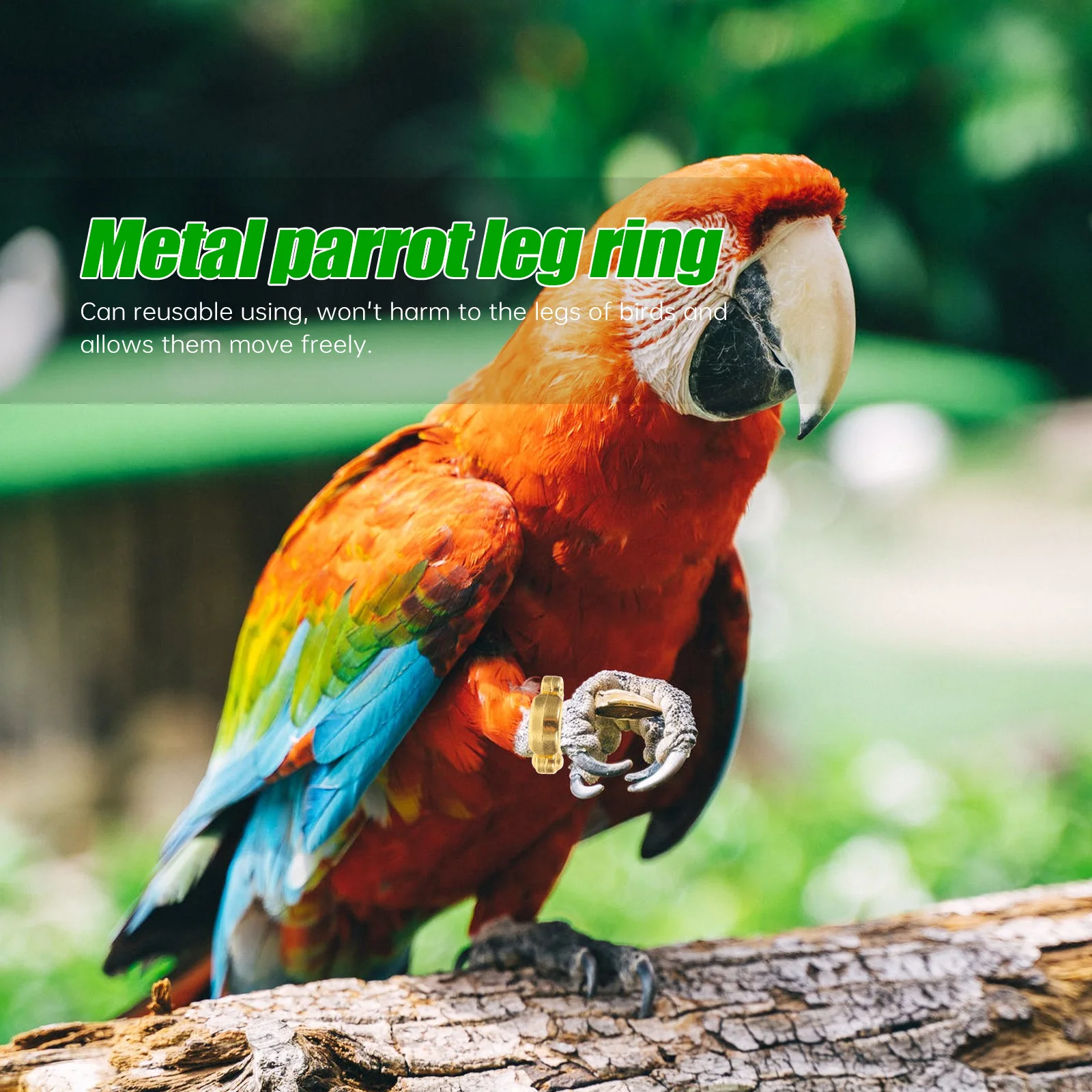 4Pcs Stainless Steel Parrot Foot Rings Adjustable Opening Bird Leg Rings for Flying Training Outdoor Bird Supplies