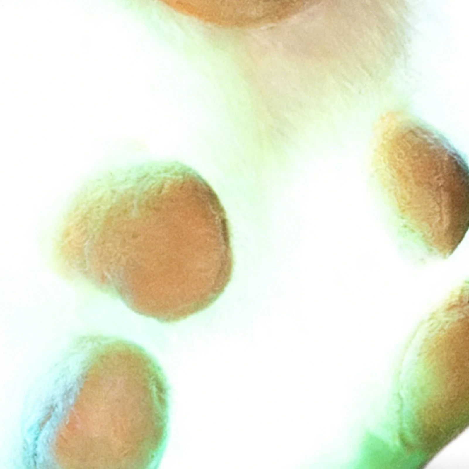 Oplichtende schattige schattige egel knuffel LED knuffeldier slapende metgezel pop voor kamerdecoratie Ideaal verjaardagscadeau