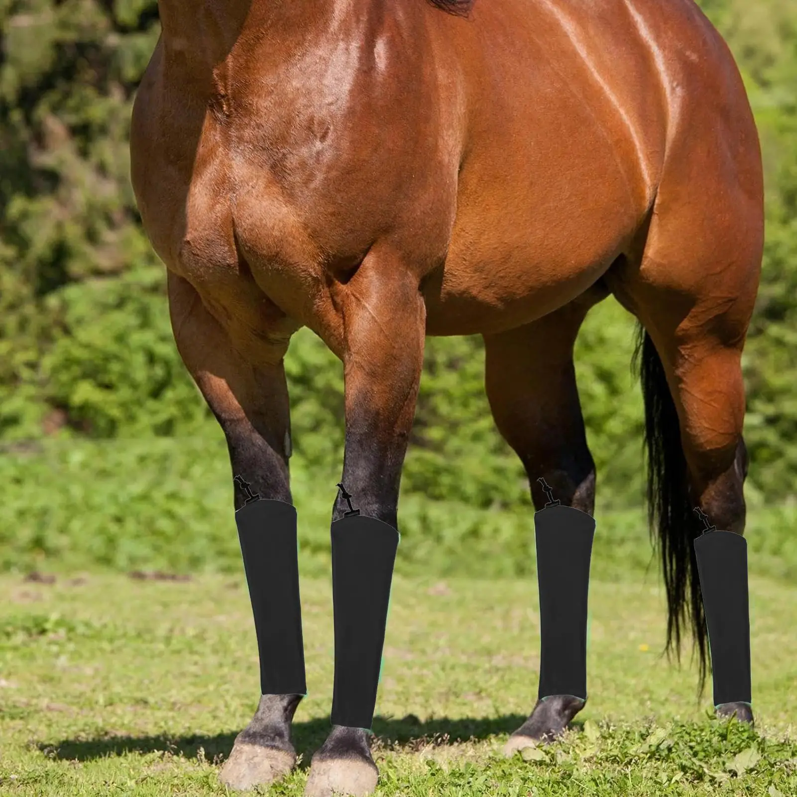 Fly Socks For Horses Equine Protective Leggings Shock-Absorbing Horse Fly Boots For Jumping Competition Stable Turnout Racing