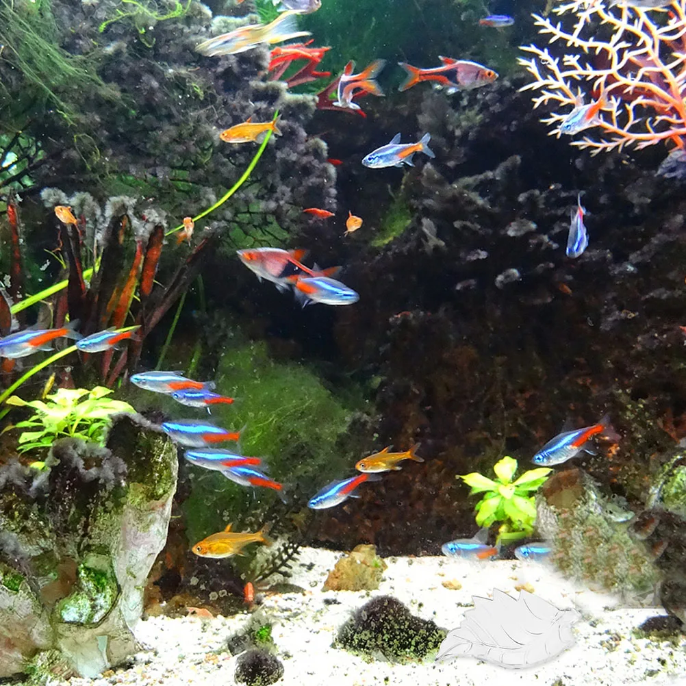 

Clear Acrylic Shrimp Feeding Bowl Crystal Aquarium Fish Tank Feeder Compact Size Suction Cup Easy Install Durable Aquatic