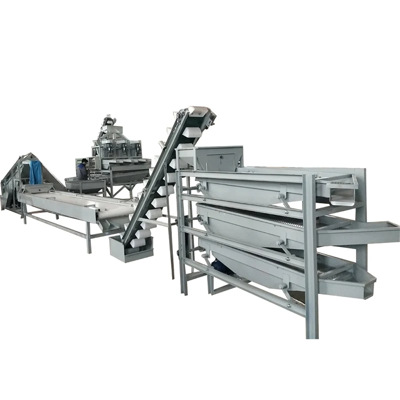High-Efficiency Almond Nut Processing Plant Roasting Production Line Nut Processing Plant for Wholesales
