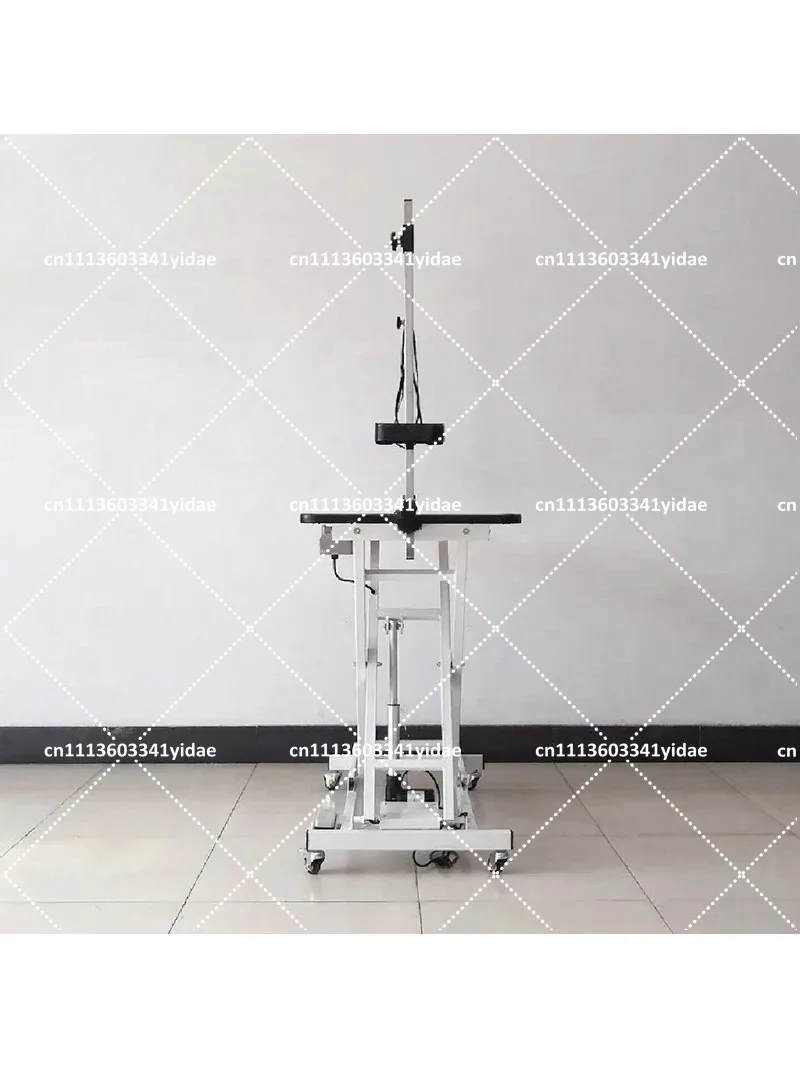 Professional Electric Pet Grooming Table with Lift, Perforated Socket, Multi-Functional Grooming Station