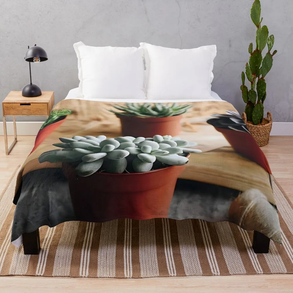 

Succulent Plants for a Relaxing Background Throw Blanket Winter beds Picnic Blankets