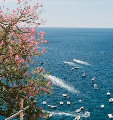 

AI Intelligent Scalp Analyzer Machine for Hair Loss Diagnosis 4 Spectrum Trichology Camera System