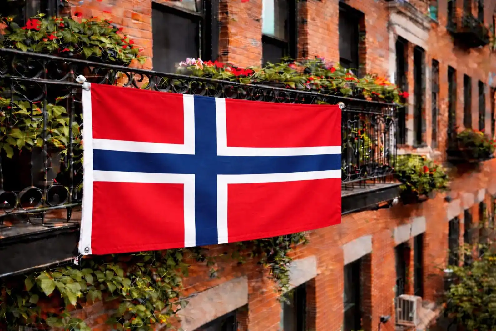 Norway Flag Norwegian Home Decor Items Advertising Tapestry Decoration Garage Flags for Bedrooms Bedroom Stuff Flaga Barber Shop