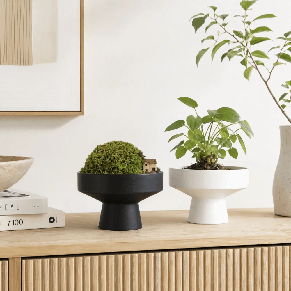 Wide Shallow Base Plant Container High-leg Plastic Succulent Pot Round Creative Desk Decoration Pot Flower Arrangement