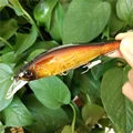 G 102