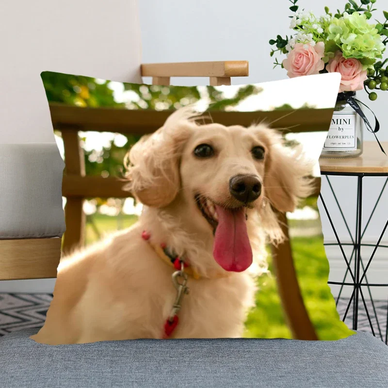 Taie d'oreiller animal chien teckel, taie d'oreiller décorative pour mariage, haute qualité, nouvel an, offre spéciale