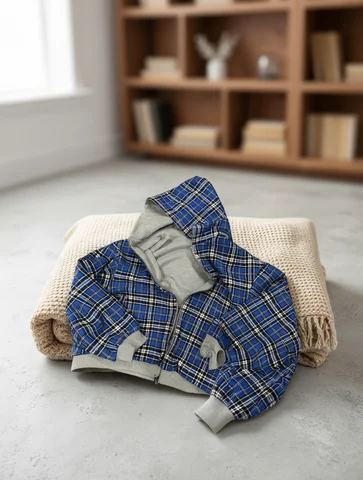 Winter Casual Plaid Print Hoodie Women's Warm Zip-Up Double-Sided Wear Sweatshirt Female Fashion Trendy Loose Hooded