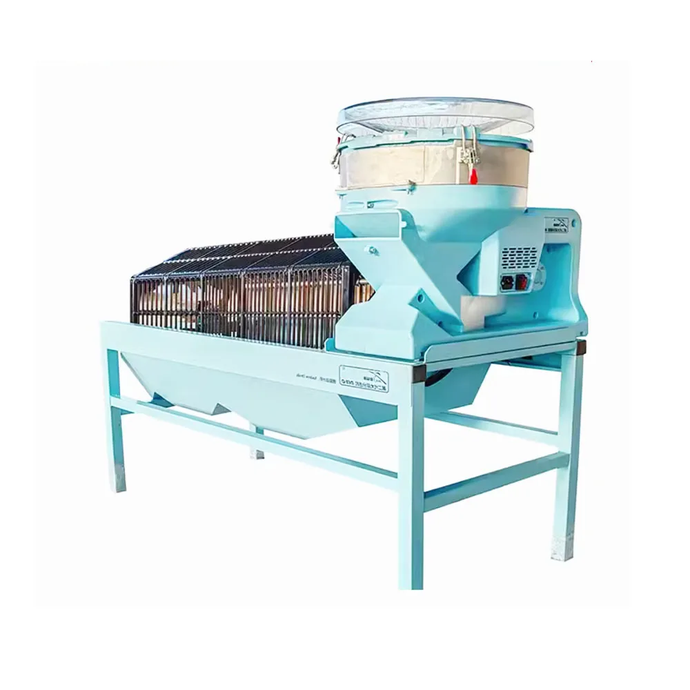 

Garlic Bulb Splitter Breaker Separator Multi-Function Garlic Clove Separating Size Sorting Machine