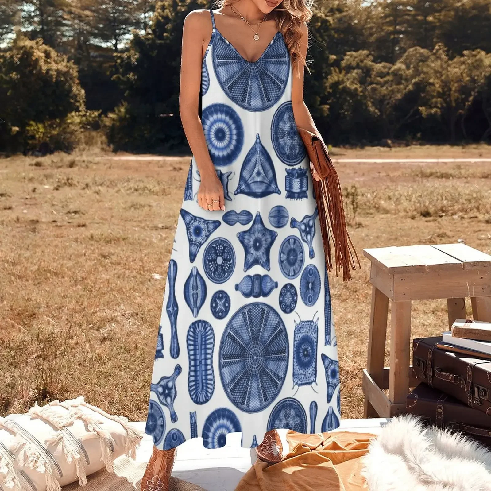 Ernst Haeckel Diatoms Indigo Blue Sleeveless Dress elegant and pretty women's dresses Woman clothing