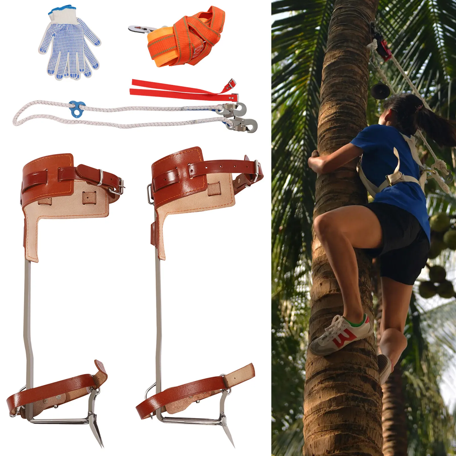 

Adjustable Tree Climbing Spurs Set Pole Climber Double Teeth Gaffs with Harness Gloves Stainless Steel