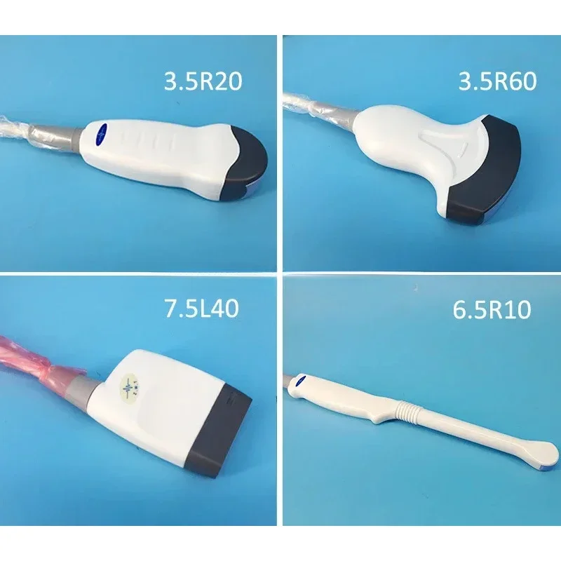 3D Portable Ultrasound , Optional 4D Pseudo Color Digital Scanning