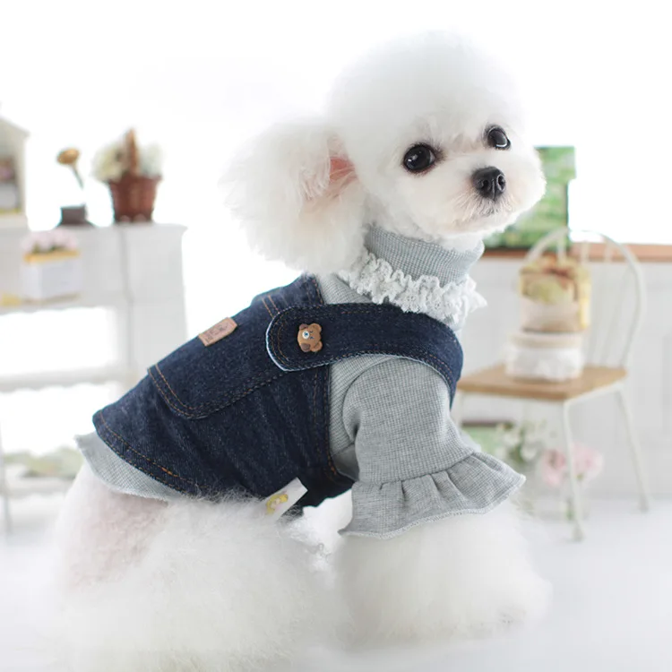 Knitted Two-Piece Teddy Bears Pet Coat, Lollipop, Dog, Cat, Knitted, Casual Wear, Autumn, Winter, New