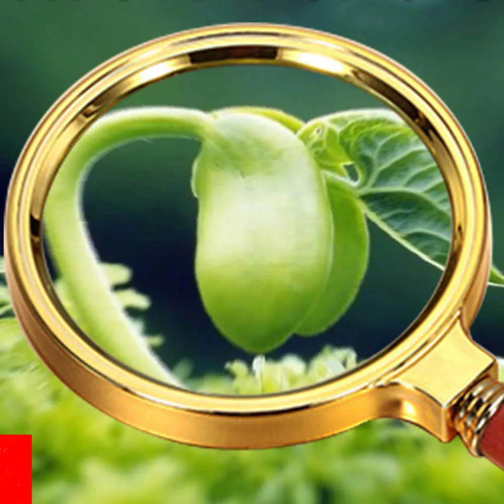 60-90mm Copper plating Handheld Magnifier removable Microscope Reading newspapers Magnifying Glass Lens for Jewelry stamp