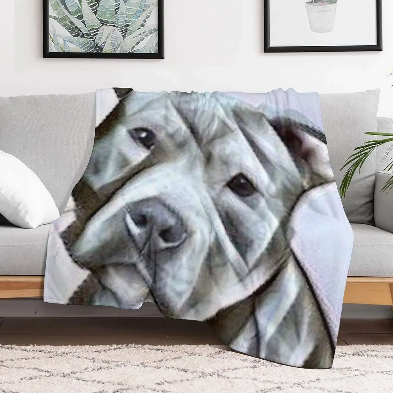 Pitbull dog lover, a beautiful design of a Blue Nose Pit Bull of this gentle loyal breed Throw Blanket