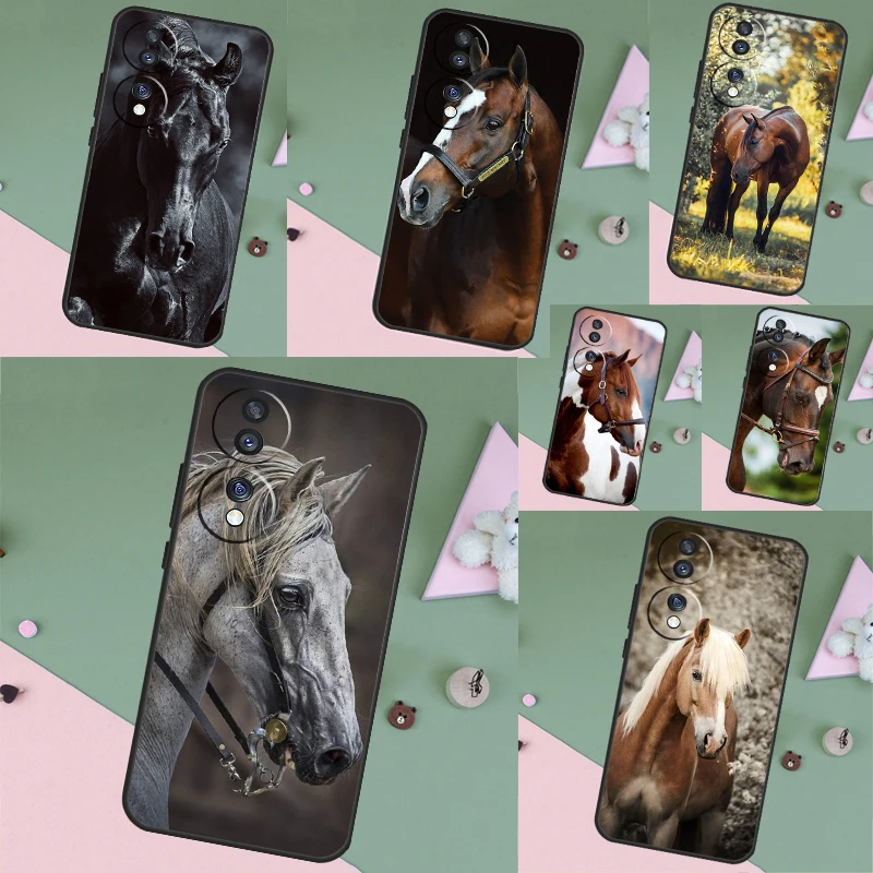Animal Steed Horse … - image