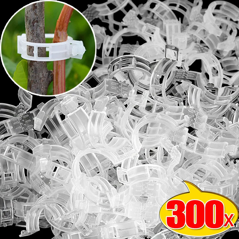 300/50PCS Plant Supports Clips Reusable Plastic Connects Fixing Vine Tomato Stem Grafting Vegetable Plants Orchard Garden Tools