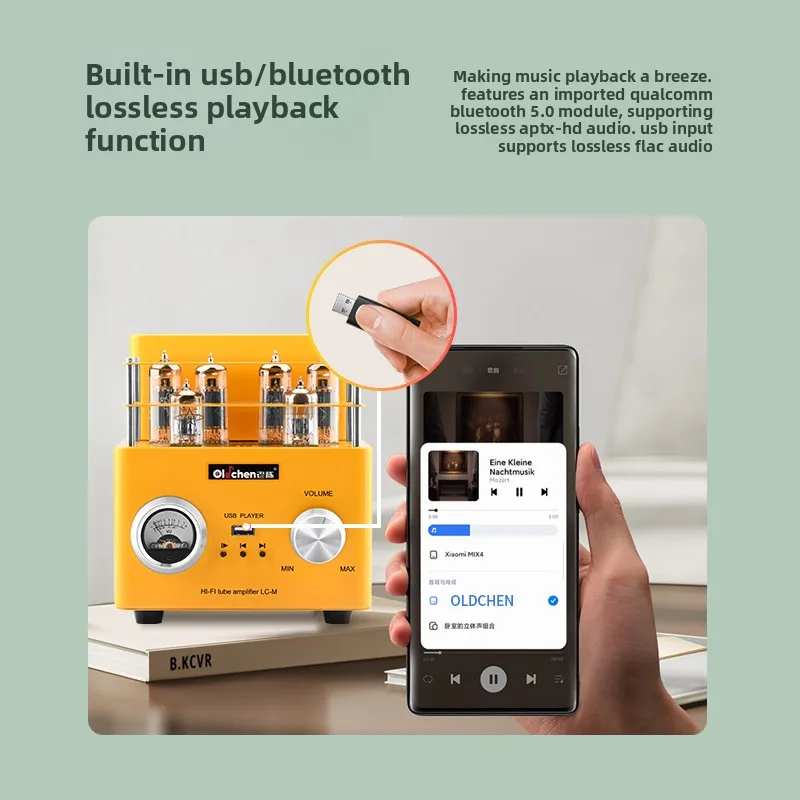 BREEZE 2025 إصدار الصدمات القديمة تشن 6P1 دفع سحب المرارة النقية HiFi حمى الإلكترونية المرارة مكبر كهربائي مجموعة