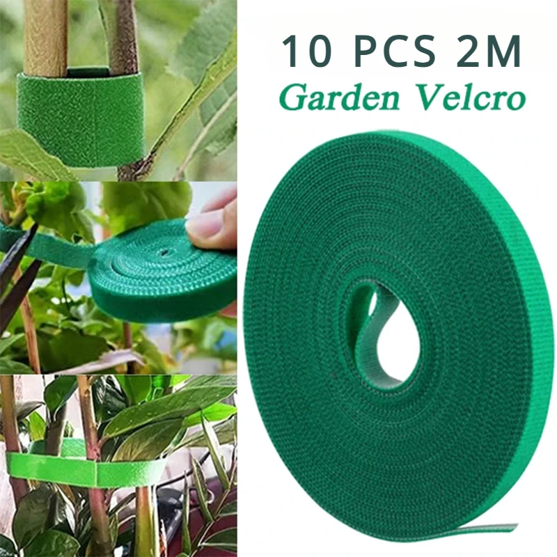 Rouleau de Ficelle de Jardin Verte en Nylon, Attaches pour Plantes, Crochet, Boucle, Bambou, Canne, Support Rond, Accessoires de Jardin, 10 Pièces