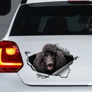 Black Poodle decal , Black Poodle magnet, Poodle sticker,car decal