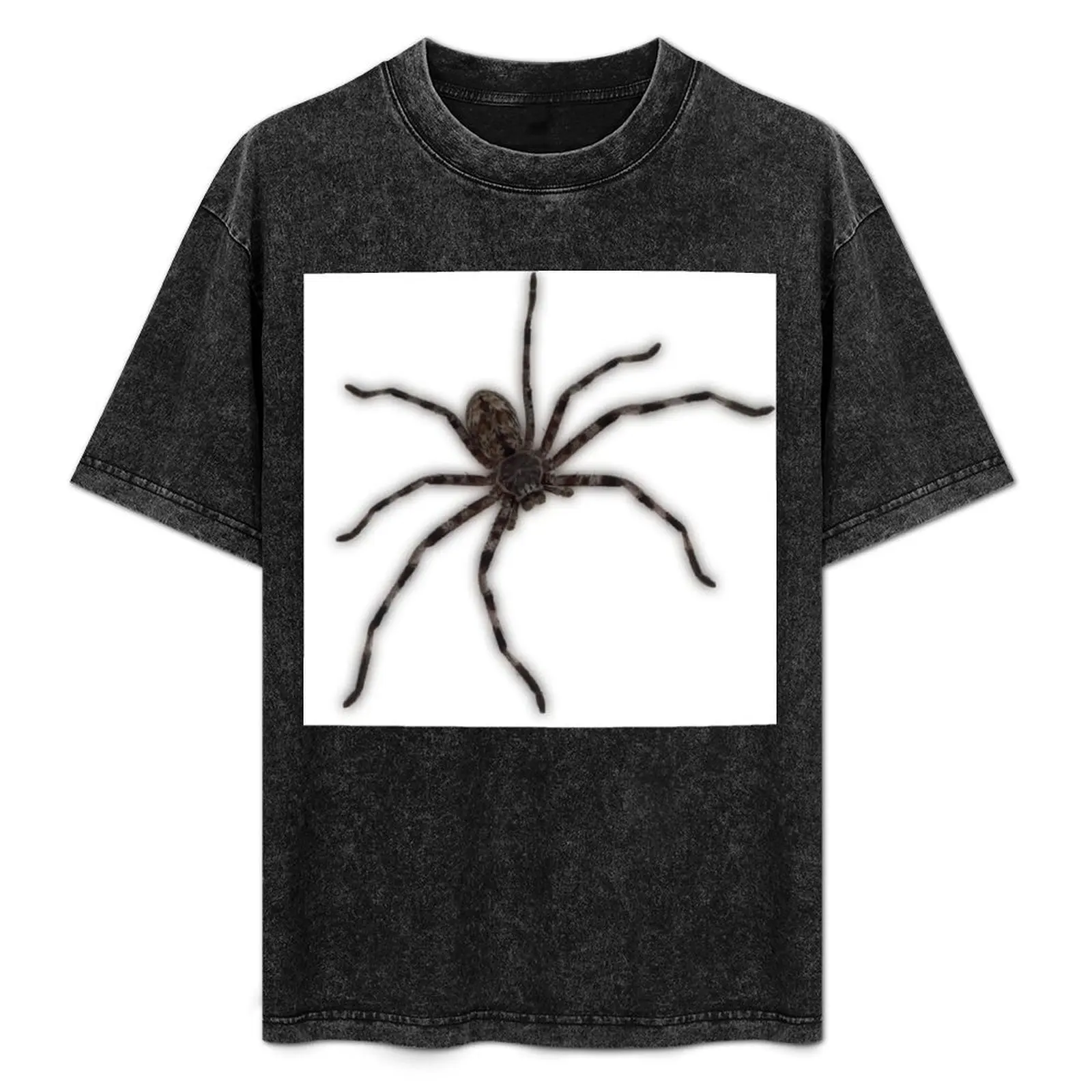 

Huntsman Spider (Delena cancerides) T-Shirt Urban Casual Loose Fit Tee