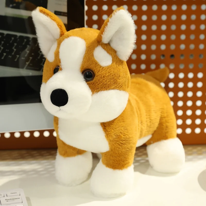 25cm mignon Corgi en peluche jouet dessin animé doux en peluche chiot jouets poupées filles garçons compagnon de couchage voiture Homedecor Plusie jouets