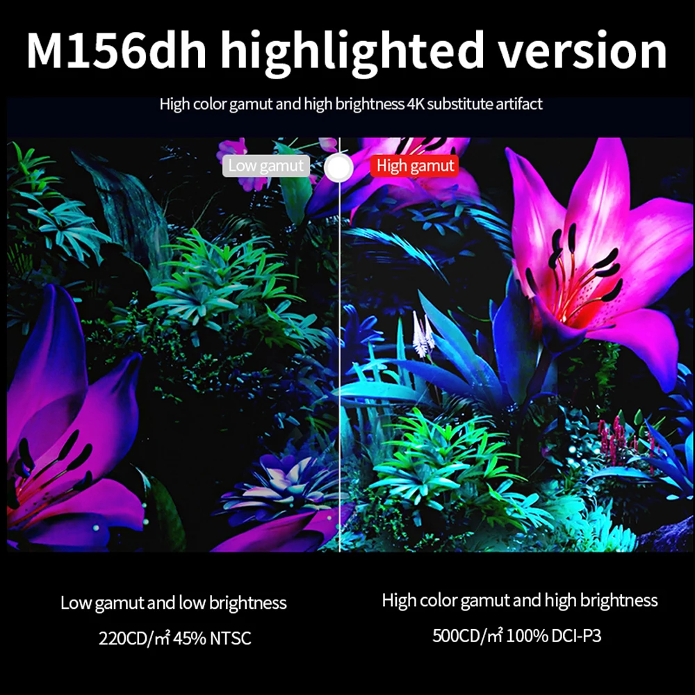 15.6 بوصة IPS 1080P المحمولة التلفزيون المزدوج المتكلم Usb نوع C HDMI-متوافق مع شاشة الكمبيوتر ل Ps4 التبديل Xbox One محمول الهاتف