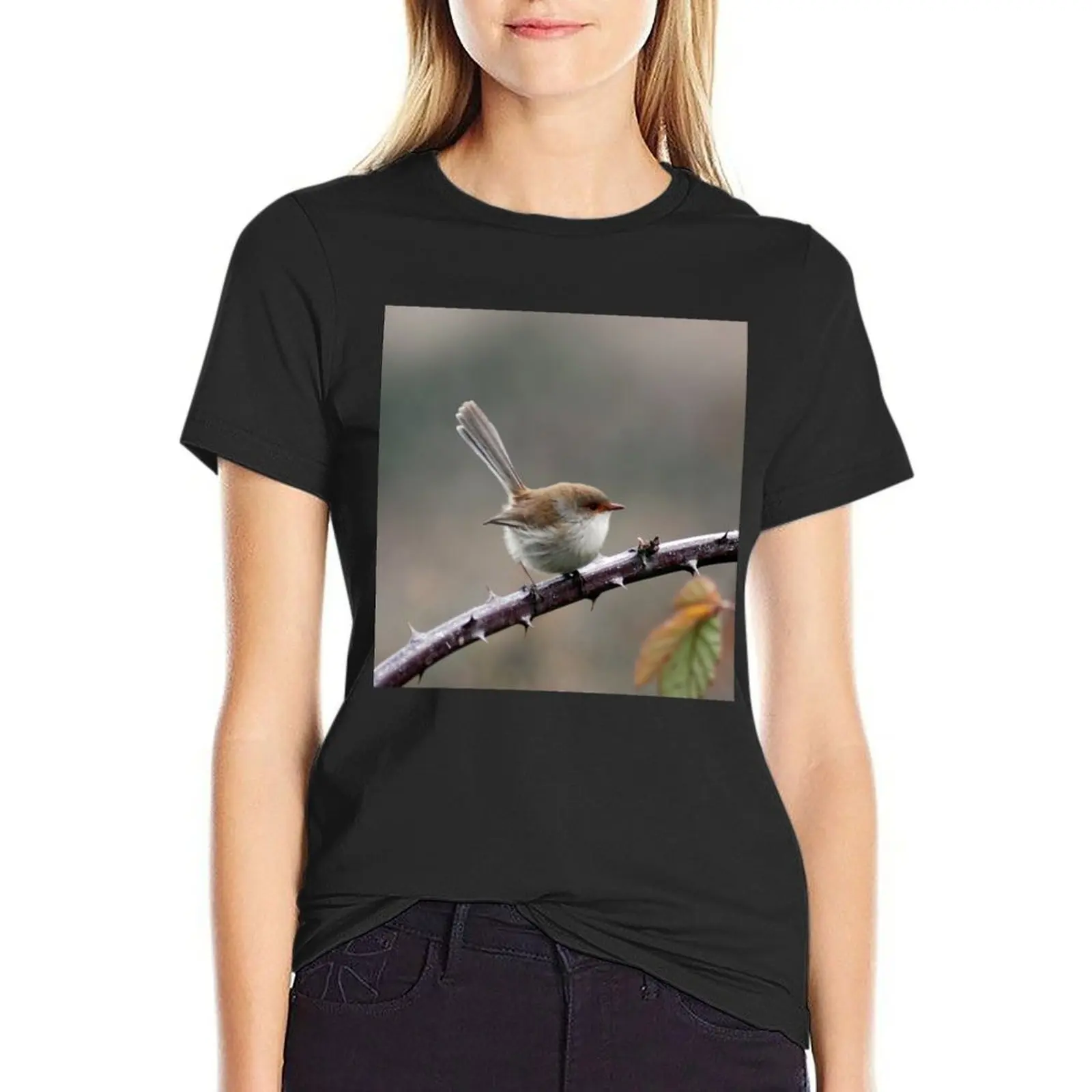 Australian Bird, Female Superb Fairy Wren, Wildlife Bird Photography T-Shirt tees kawaii clothes hippie clothes Women t-shirts