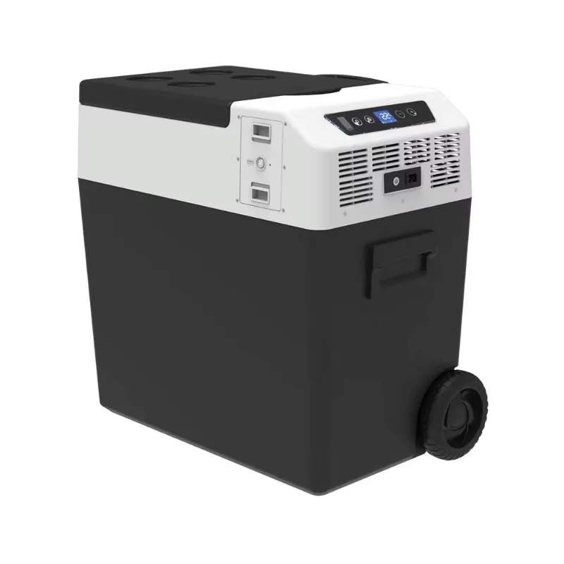 High Quality 50L Plastic Portable Car Refrigerator & Freezer with Built-in Battery for Outdoor Use in Truck Boat RV
