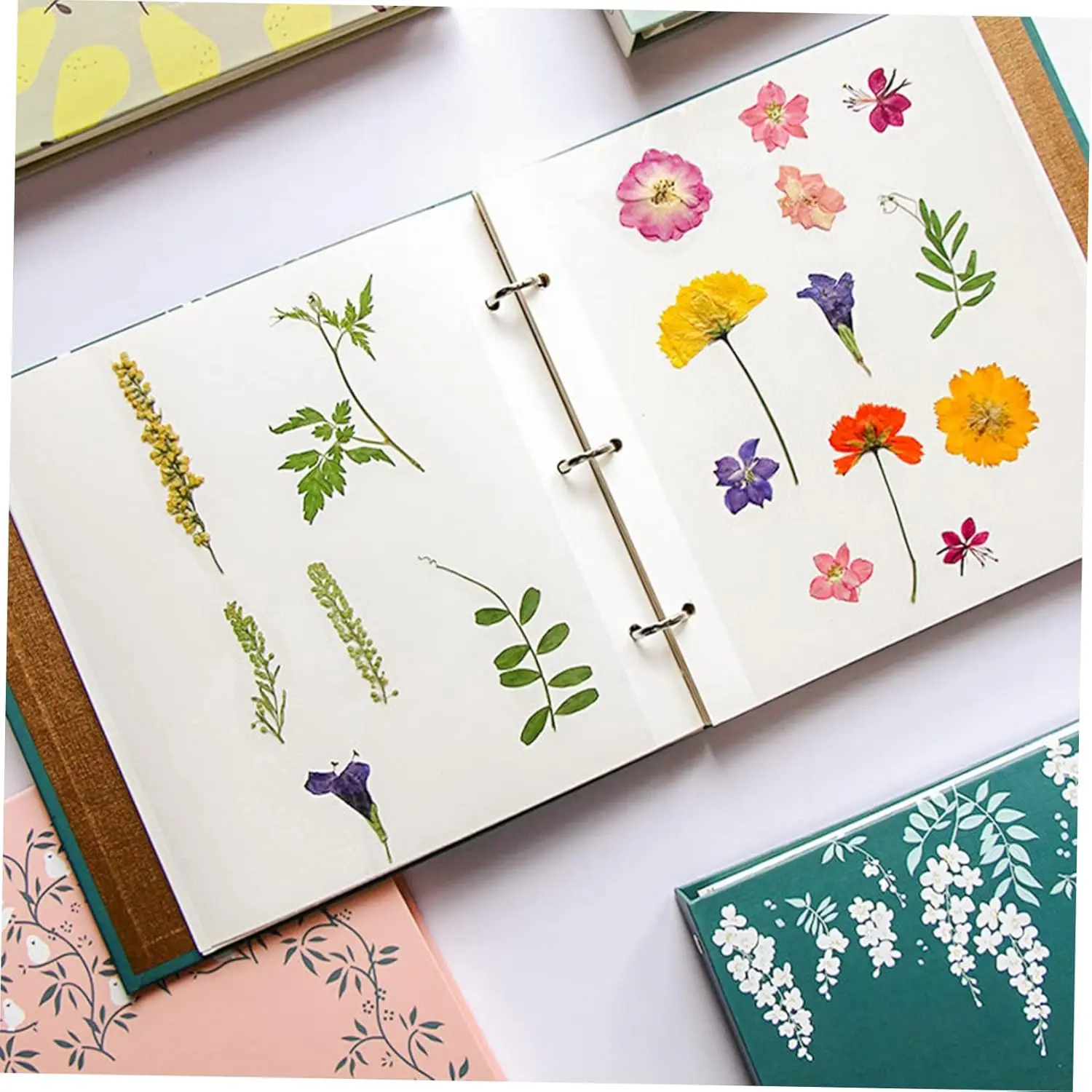 Dried Flower Storage Album Binder Scrapbook Holder Pressed Flowers Leaves Portable Reusable Plant Collect Paper Photo Album DIY