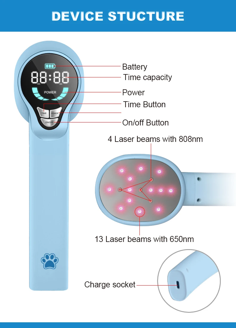 Infrared Red Light Therapy for Dog Pain Relief LLLT Acupuncture 650nm 808nm Pet Wound Treatment Veterinary Medical Equipment