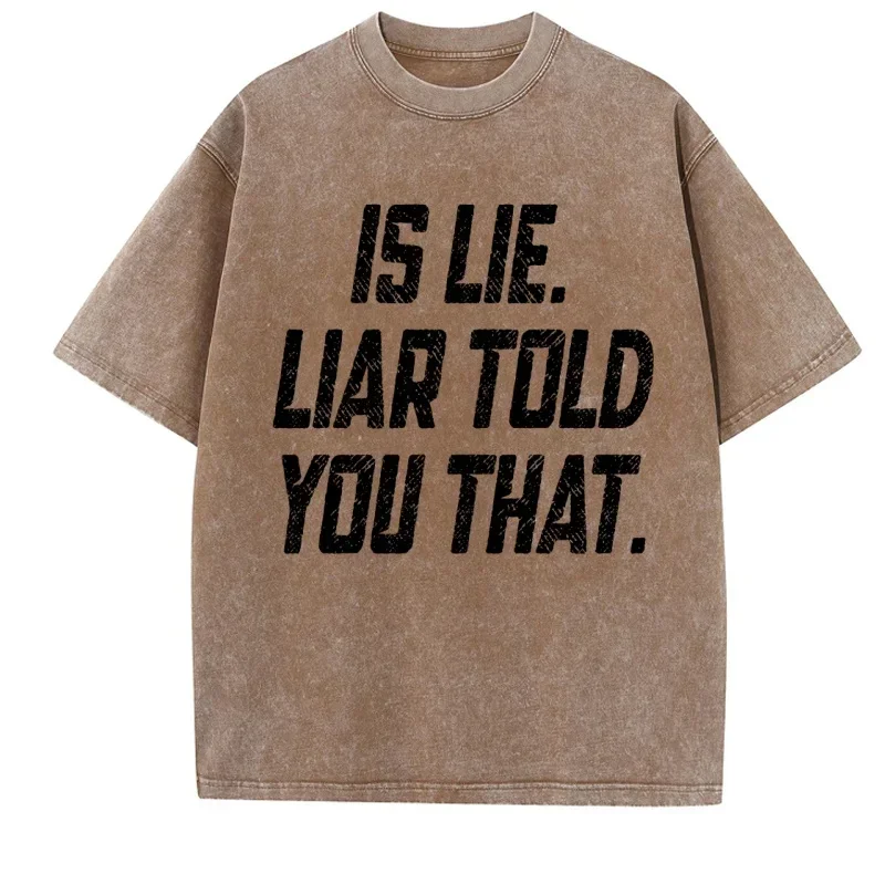 Is Lie Liar Told You That T-shirt Vintage Washed Hudson Williams Connor Storrie T Shirt Heated Rivalry Hollander Tshirt