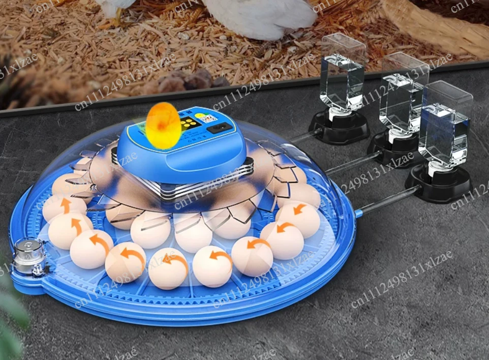 Small Household Parrot Egg Incubator Automatic Intelligent Bird Hatcher