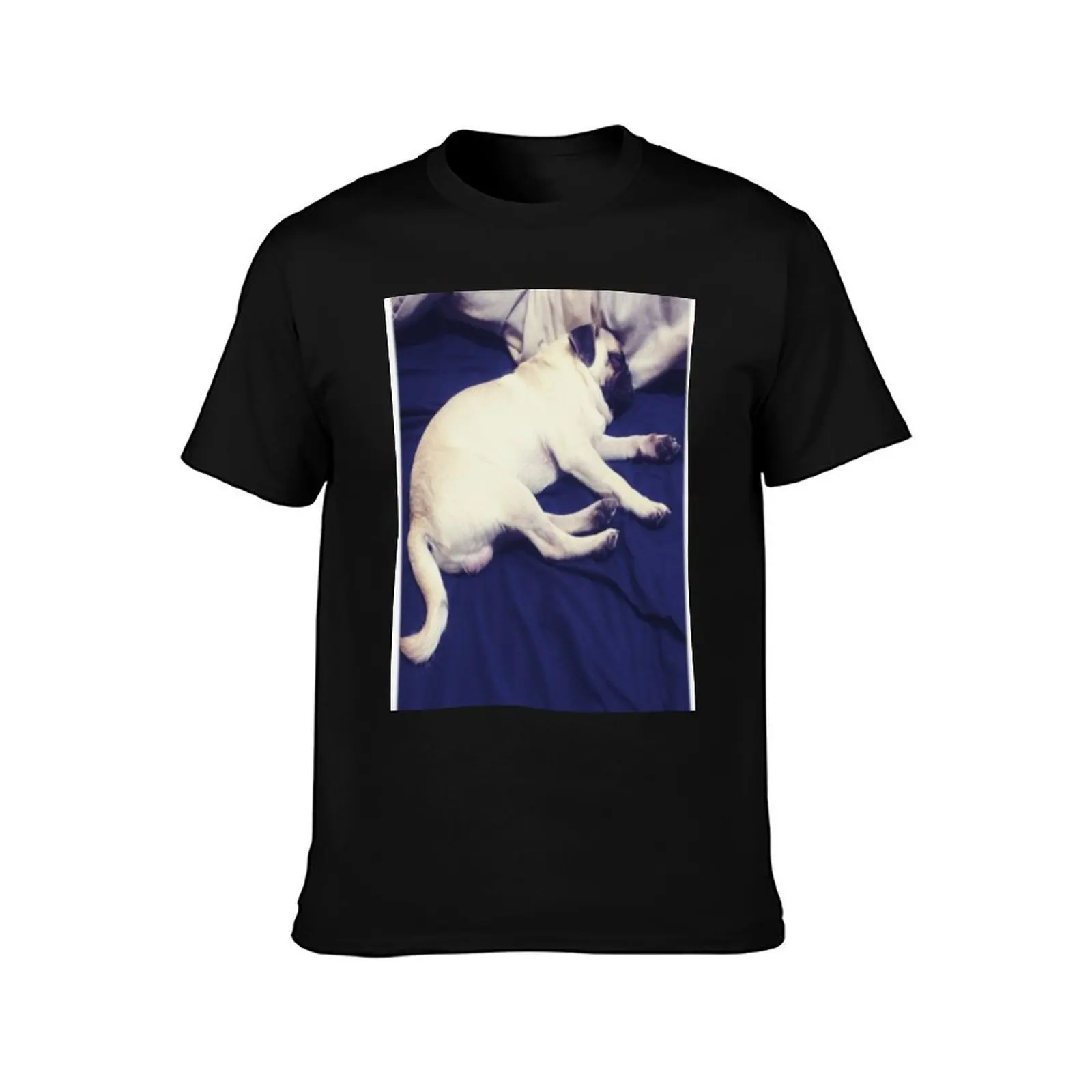 Cecil sleeping T-Shirt Casual Work Wear T-Shirt