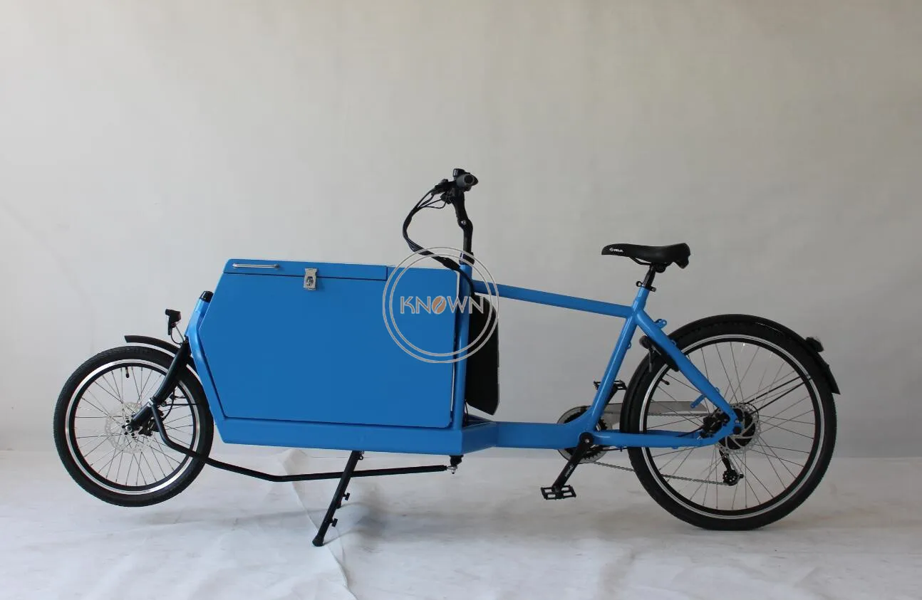 Hot Selling Two Wheel Electric Cargo Bike Mobile Safe Child Transport Vehicle Heavy Loading Manned  Bicycle