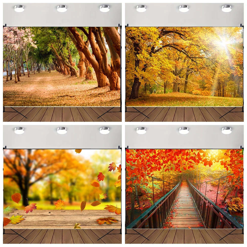

MOON.QG Autumn Decoration Forest Landscape Photography Background Maple Sunlight Paths Leaves Backdrop Poster Party Photozone