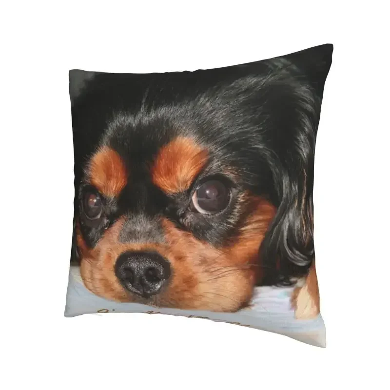 The Cavalier King Charles Spaniel Puppy Cushion Covers Sofa Living Room Animal Dog Square Throw Pillow Cover 40x40