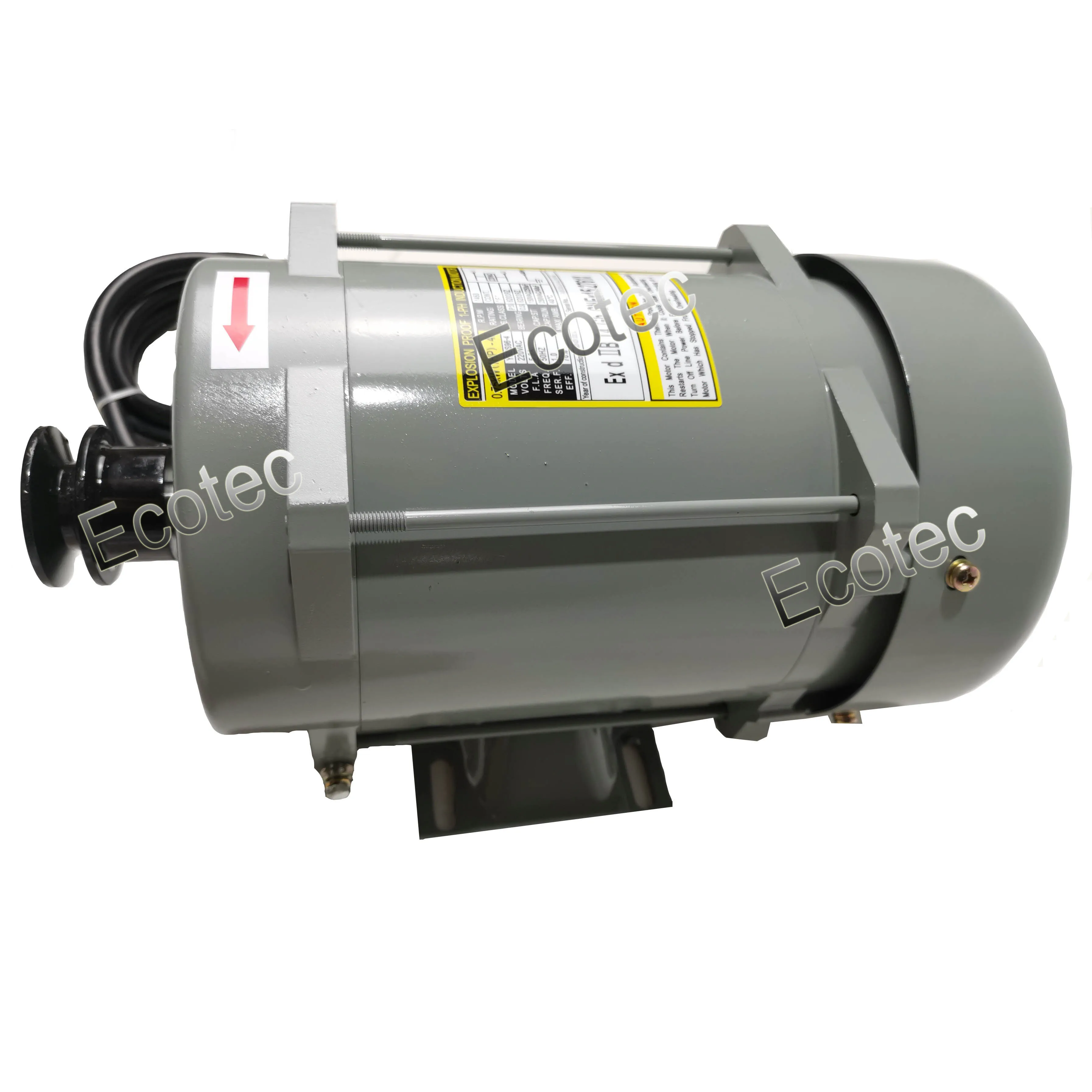 Ecotec EX Motor Fuel Dispenser Motor with Best Quality for Sale