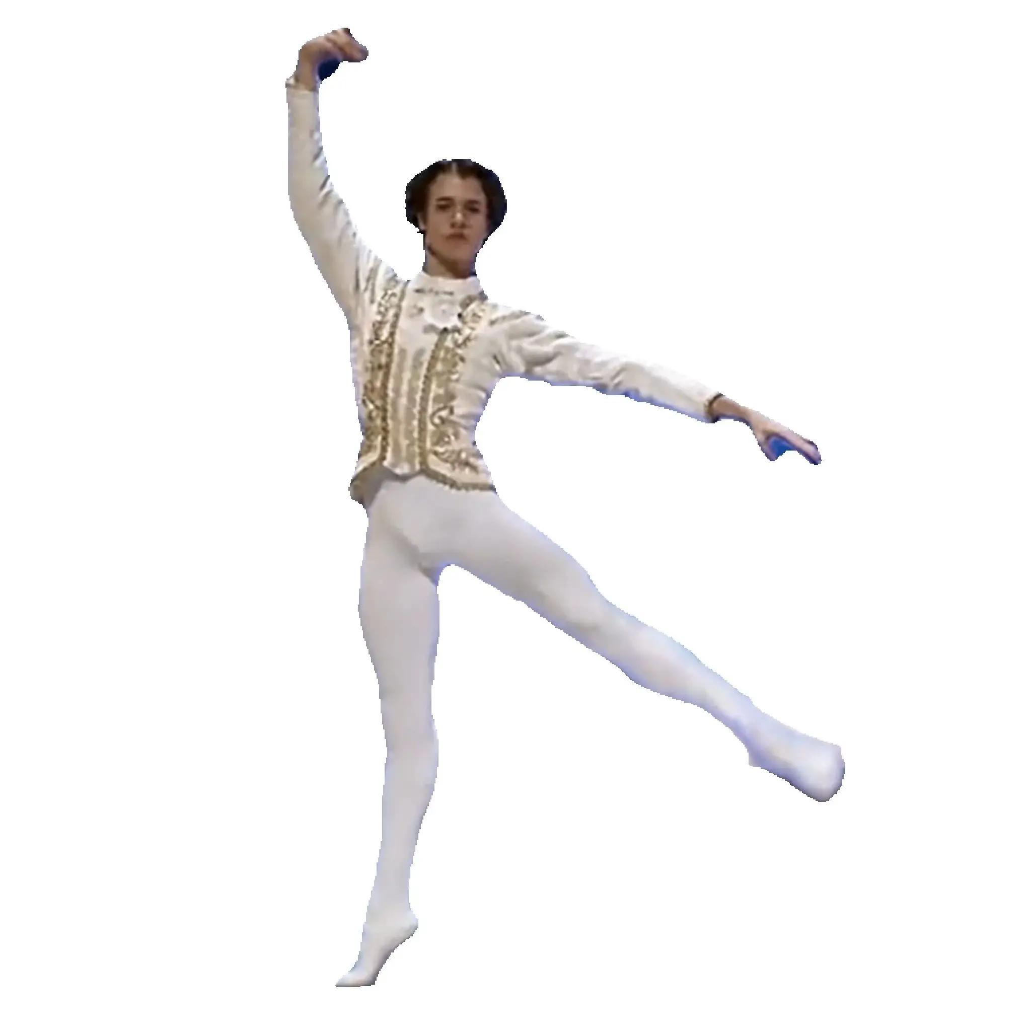 Swan Lake Man White and Golden Velvet Ballet Jacket,Fairy Prince Dance Costumes Male Ballet Suit Dance Top Coat Dance Clothes
