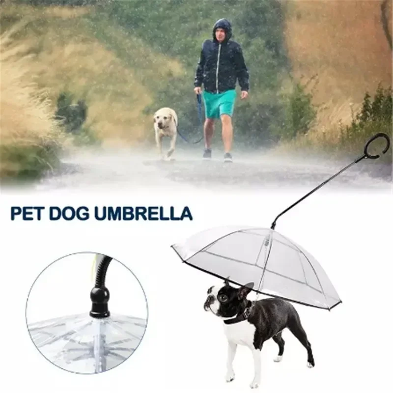 Small Dogs Leading Umbrella Creative Transparent Walking Dogs Traveling Out Waterproof Poncho Pet Supplies