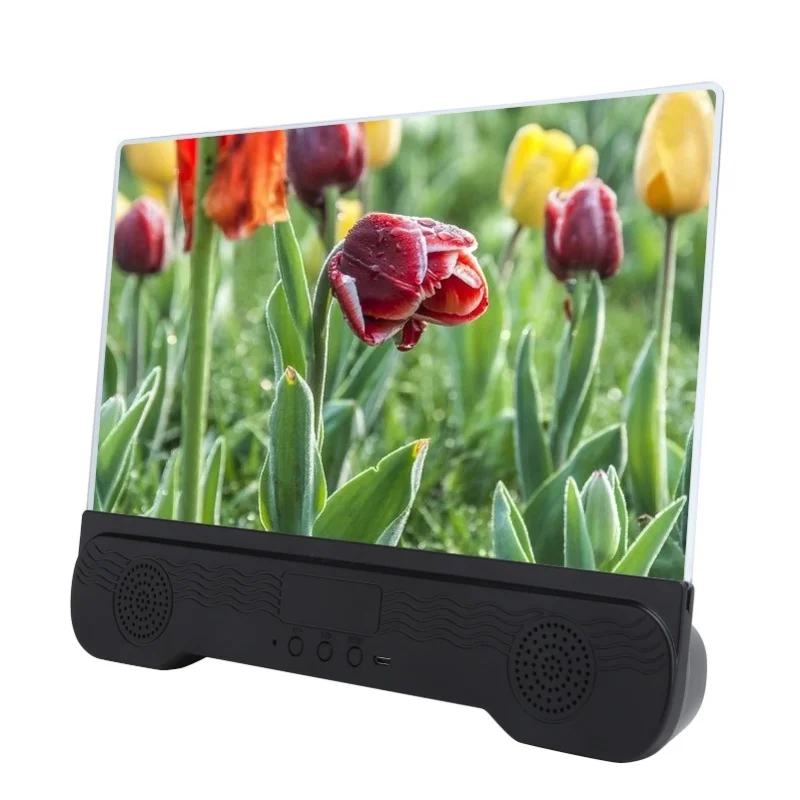 Lente d'ingrandimento per schermo per telefono cellulare da 14 pollici con staffa di supporto per amplificatore video per altoparlante Bluetooth